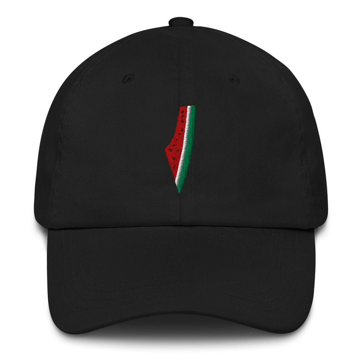Embroidered Palestine Map - Hat