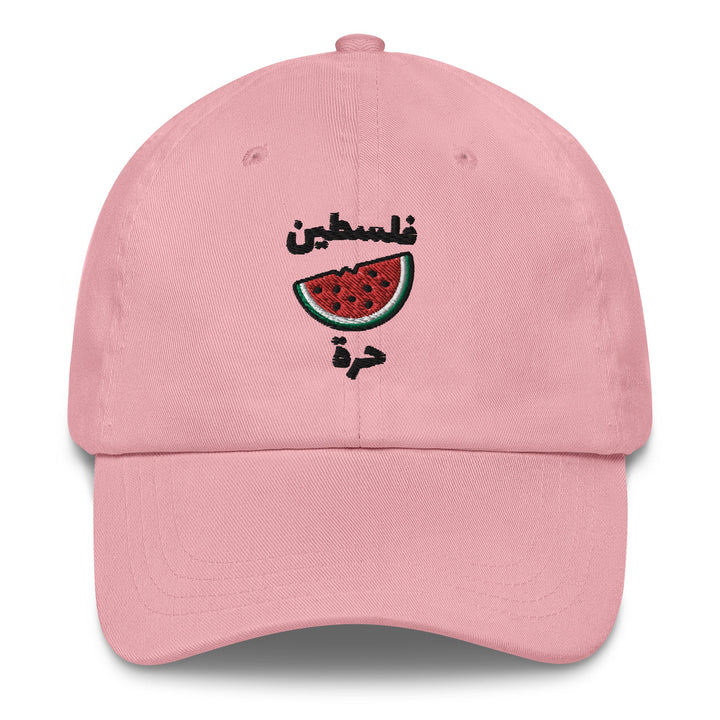 Free Palestine watermelon hat