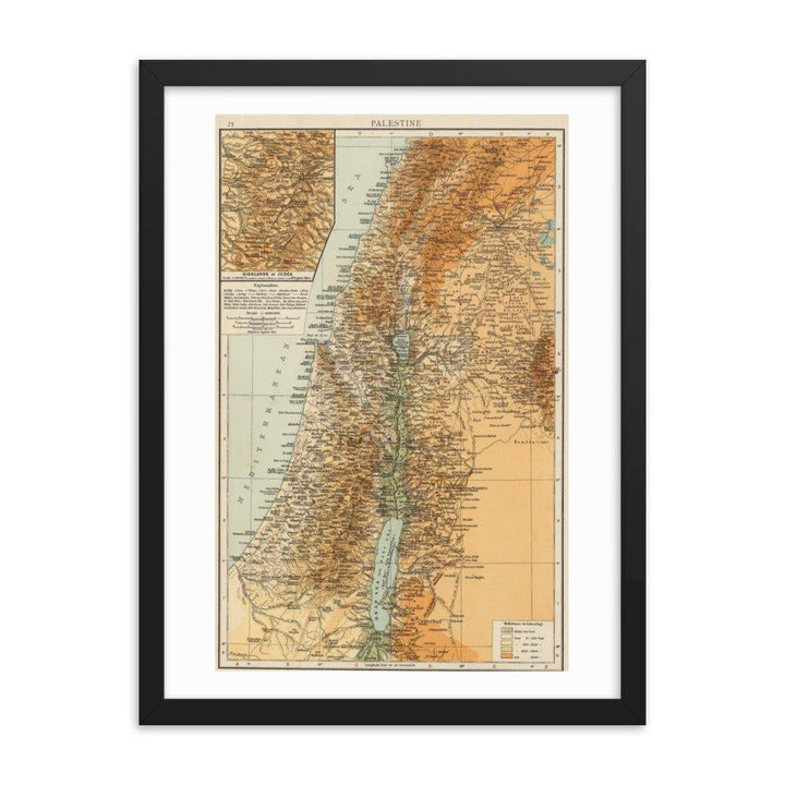 Palestine Map