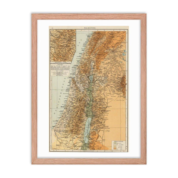 Palestine Map