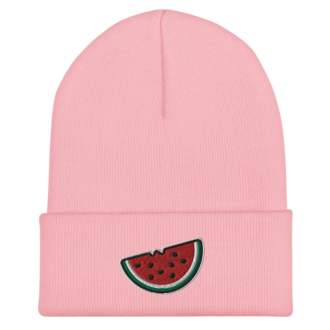 Free Palestine Watermelon Hat