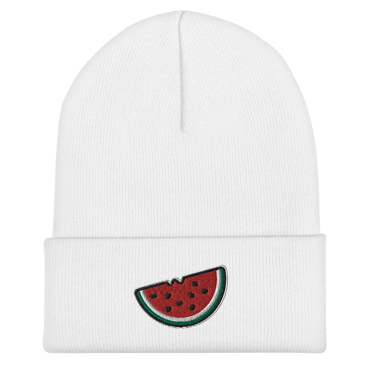 Free Palestine Watermelon Hat
