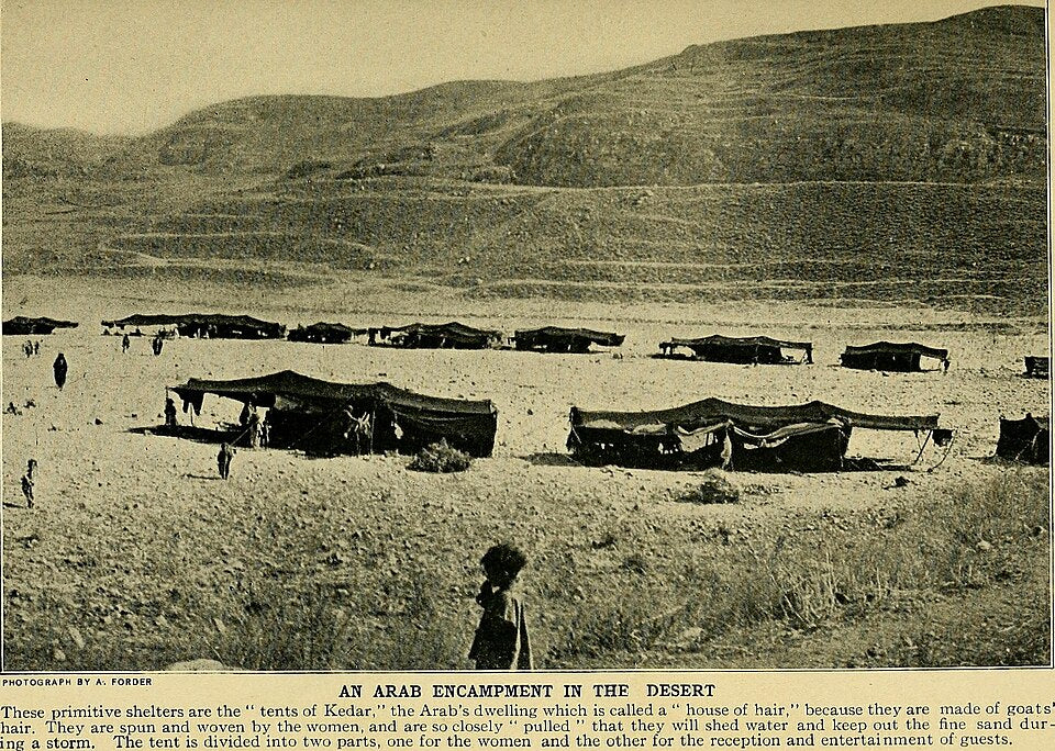 Bedouin Life: Nomadic Culture Across Arabia, Palestine and the Sahara