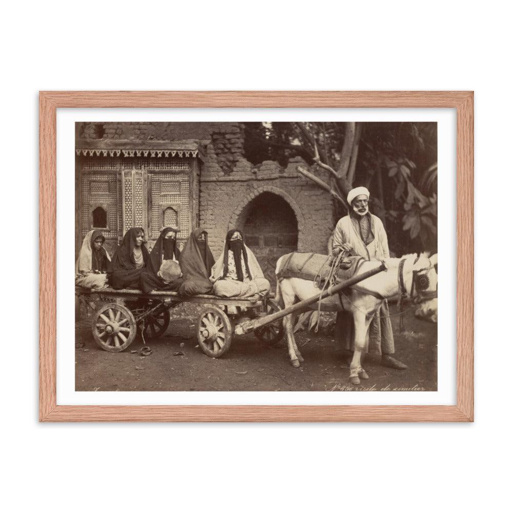 Egyptian Carriage - Native Threads Palestine clothing