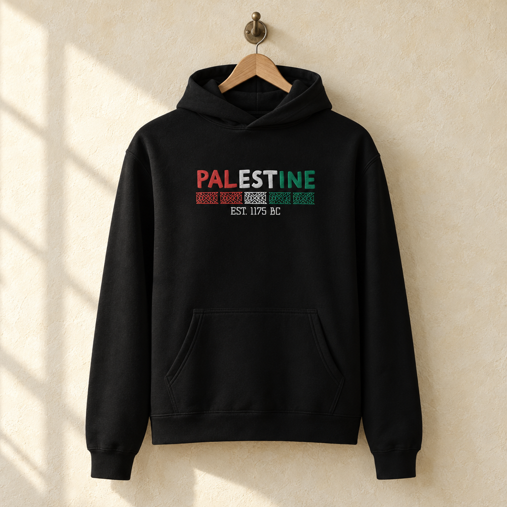 Embroidered Palestine Oversized Hoodie, hanging on a wooden hanger against a pale wall.