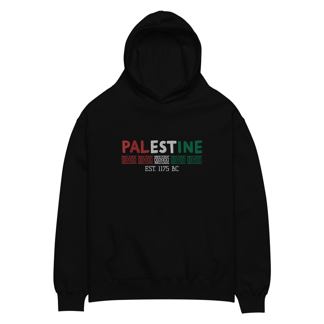 Embroidered Palestine - Oversized Hoodie - Native Threads