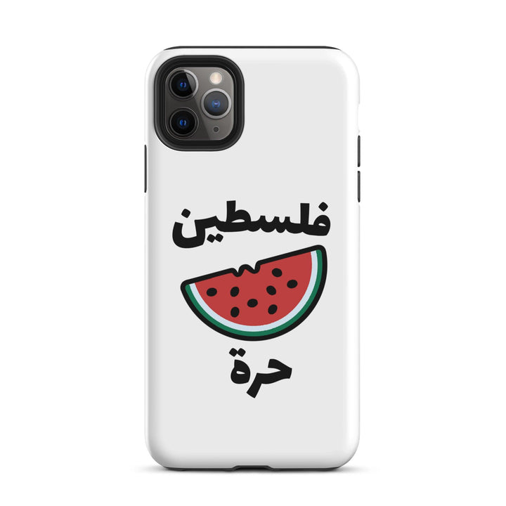 Palestine Watermelon iPhone Case - Native Threads