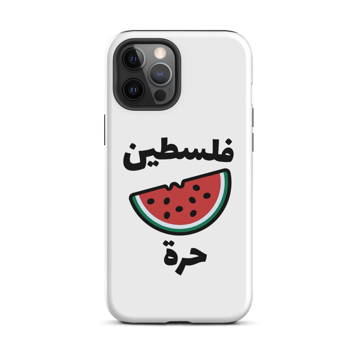 Palestine Watermelon iPhone Case - Native Threads