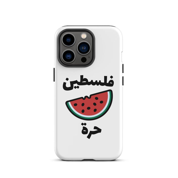 Palestine Watermelon iPhone Case - Native Threads