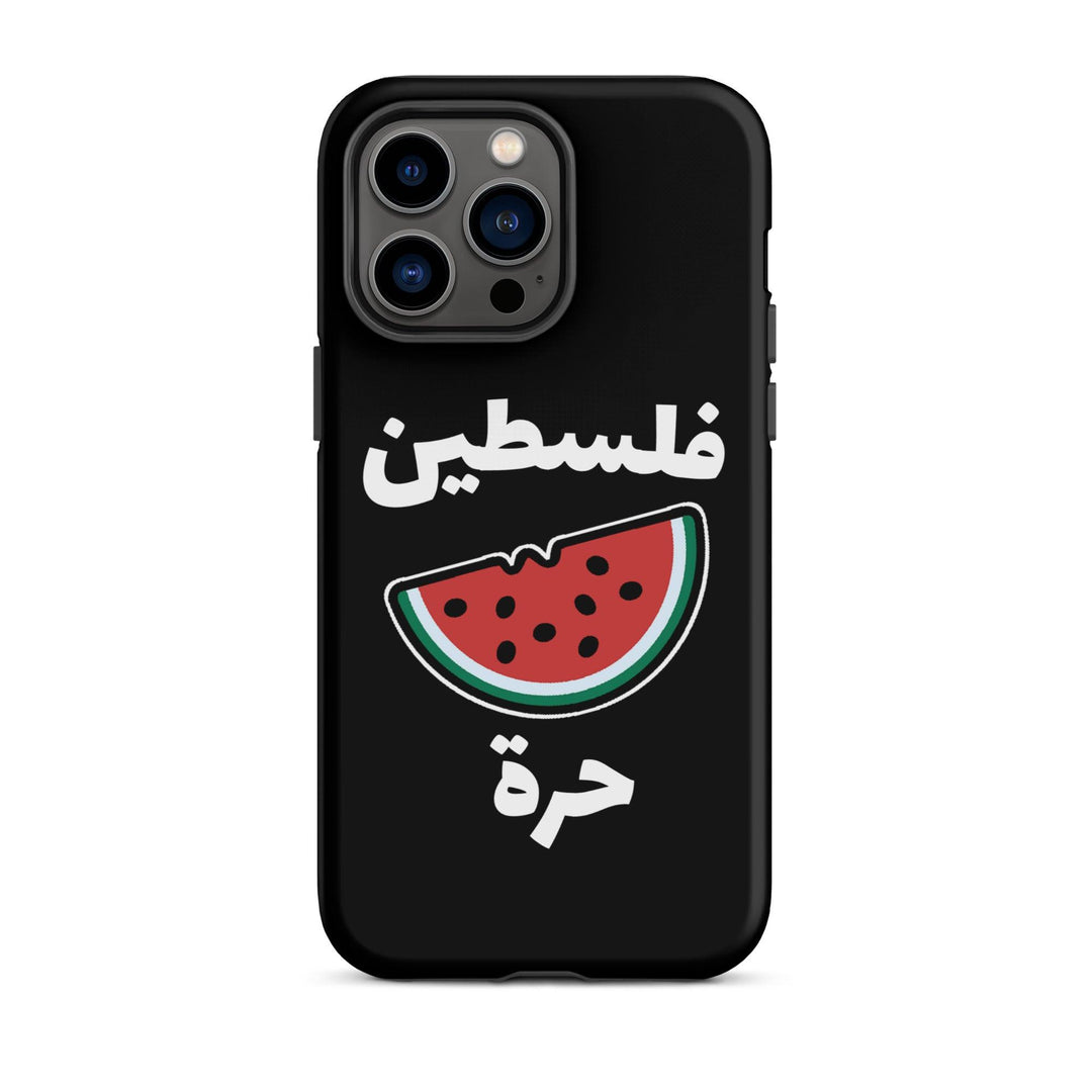 Palestine Watermelon iPhone Case - Native Threads