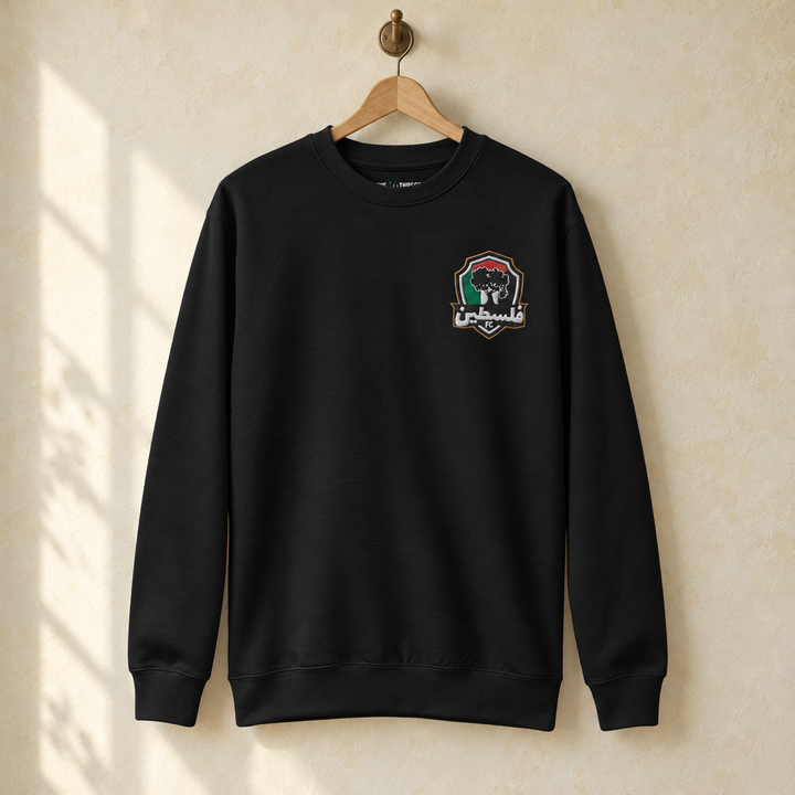 Palestine FC Sweater, hanging on a wooden hanger against a pale wall.